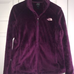 Osito Fleece Wine North Face Jacket